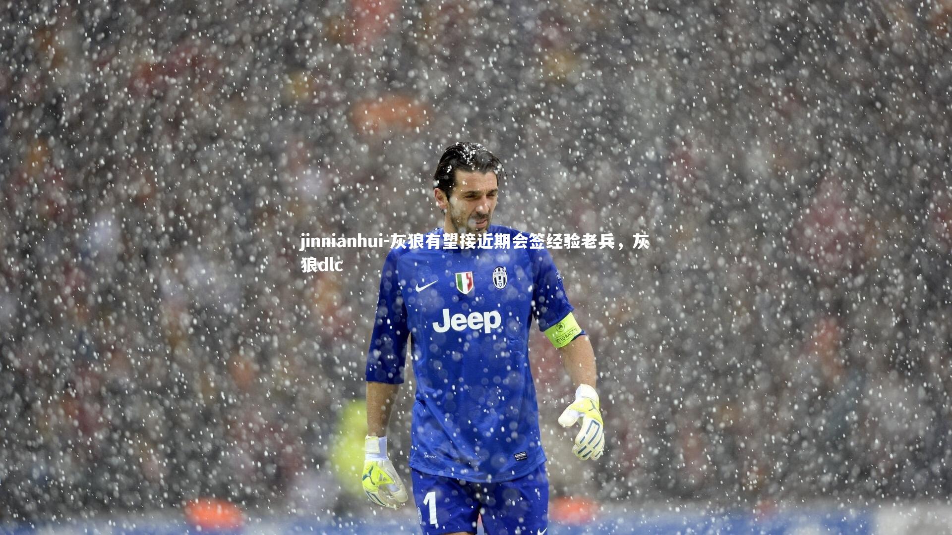 灰狼有望接近期会签经验老兵，灰狼dlc